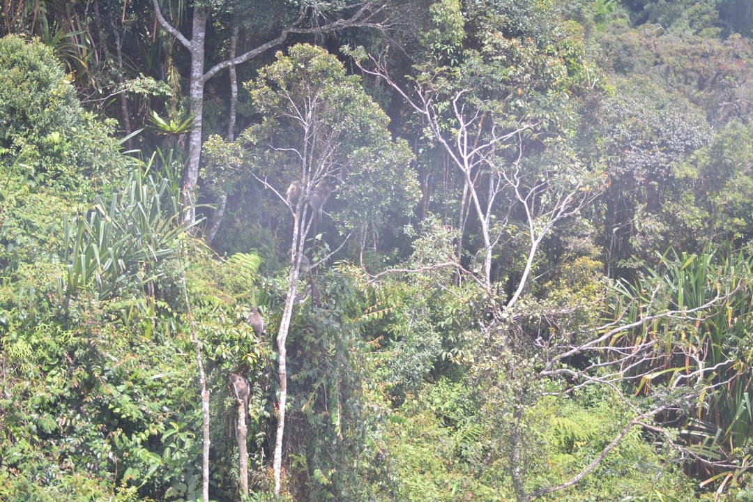 2018 image 3